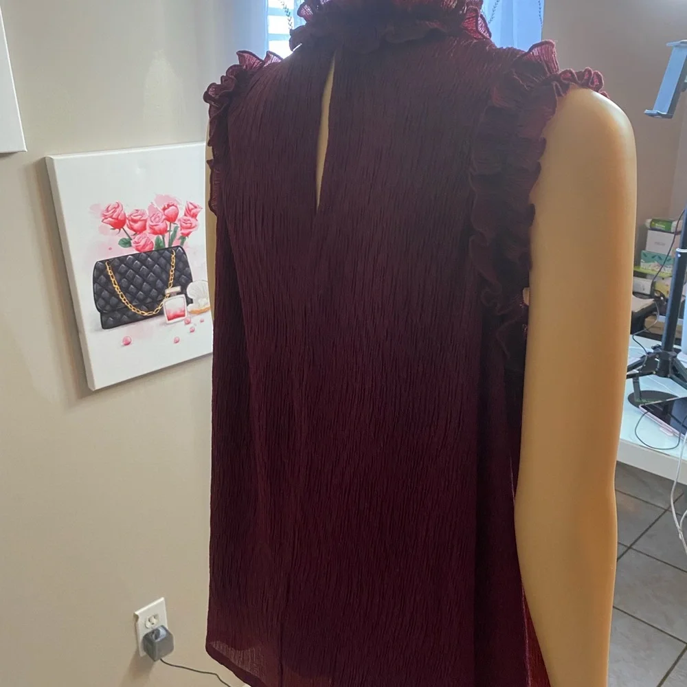 Ruby Red Blouse - Picture 2 of 2